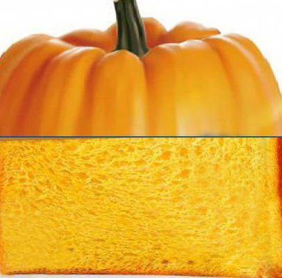 Direct Wholesale Pumpkin Toast with Retail Bulk Package